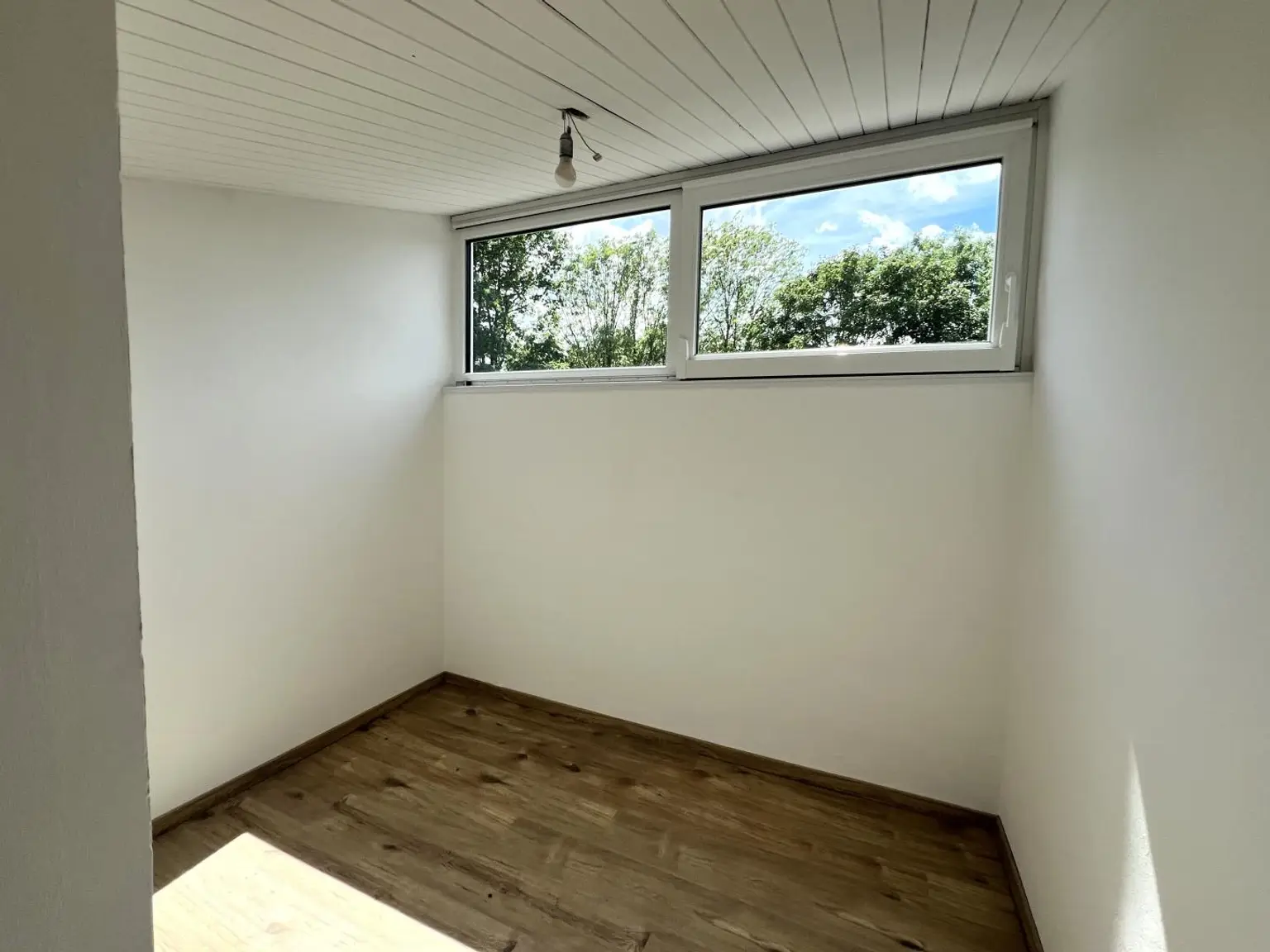 Zimmer DG