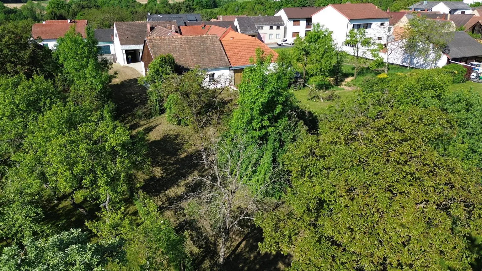 Drohnenansicht Garten