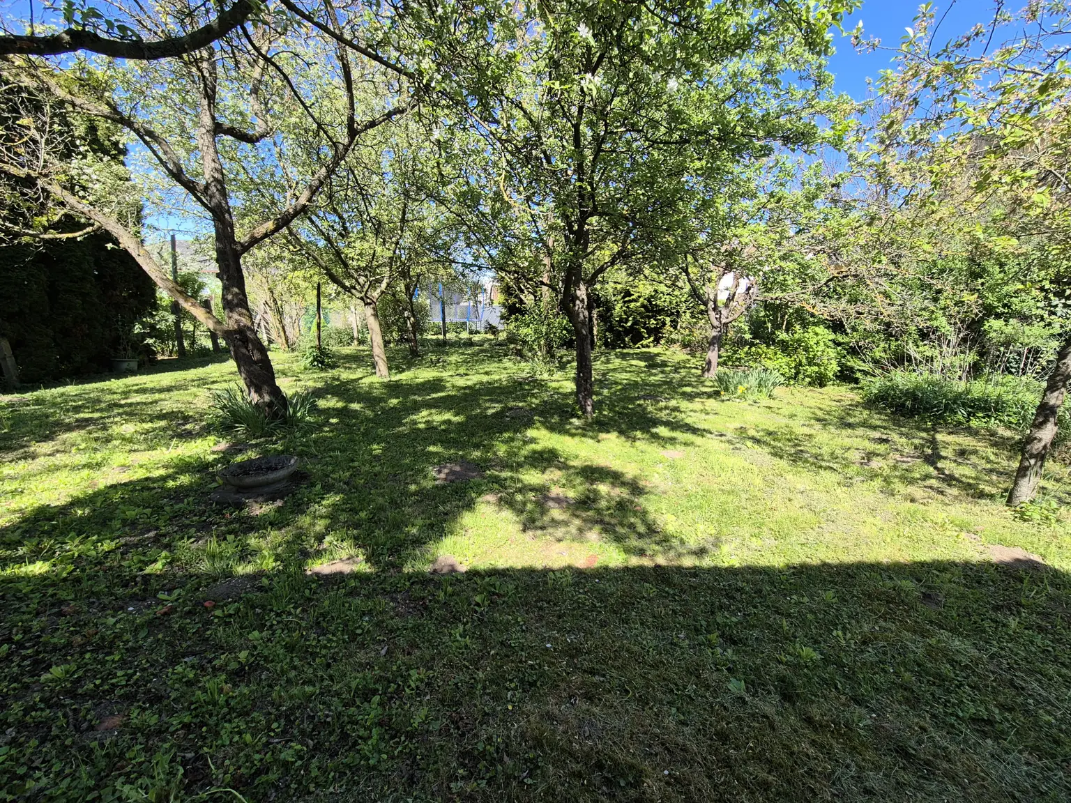 Garten2