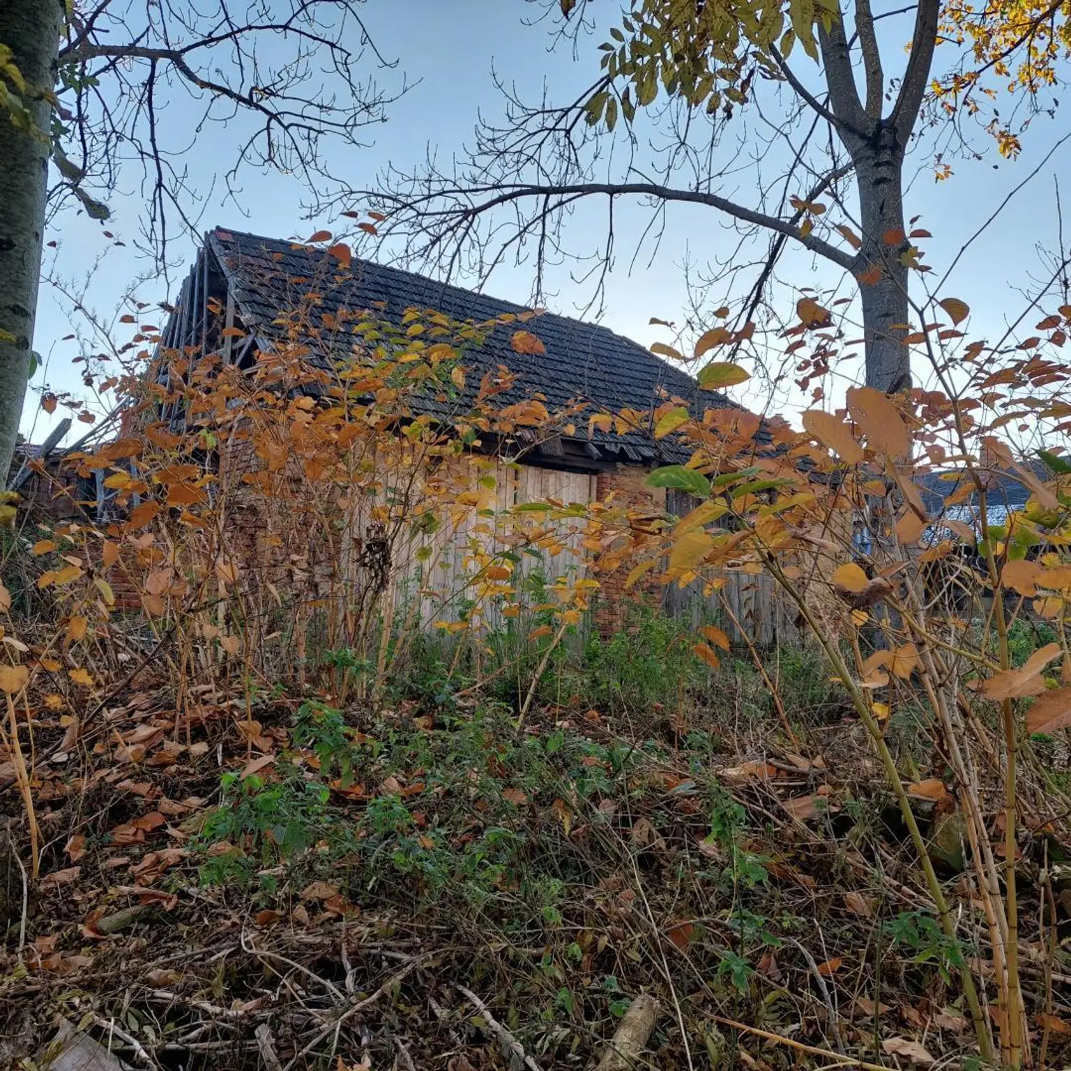 Gartenansicht