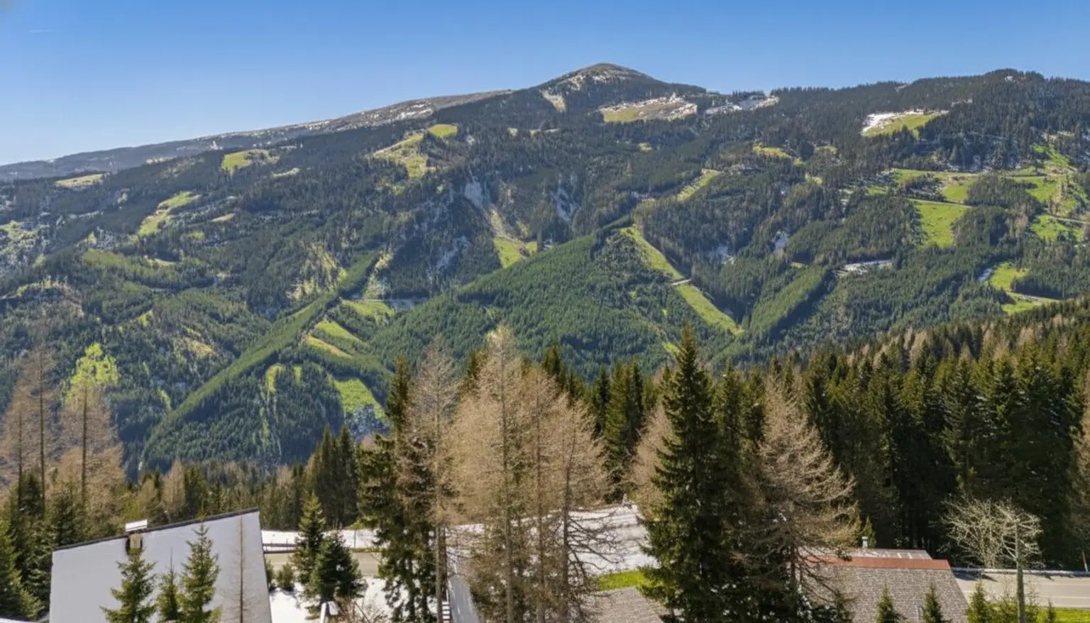 Ausblick