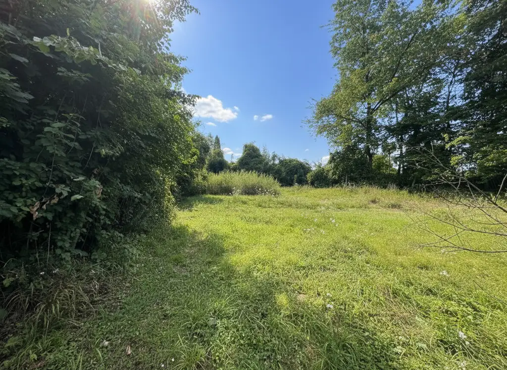 Preisreduktion - Traumhaftes Baugrundstück in idyllischer Lage von Kirchbach, Niederösterreich - Perfekt für Ihr Eigenheim!