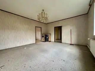 WZ OG