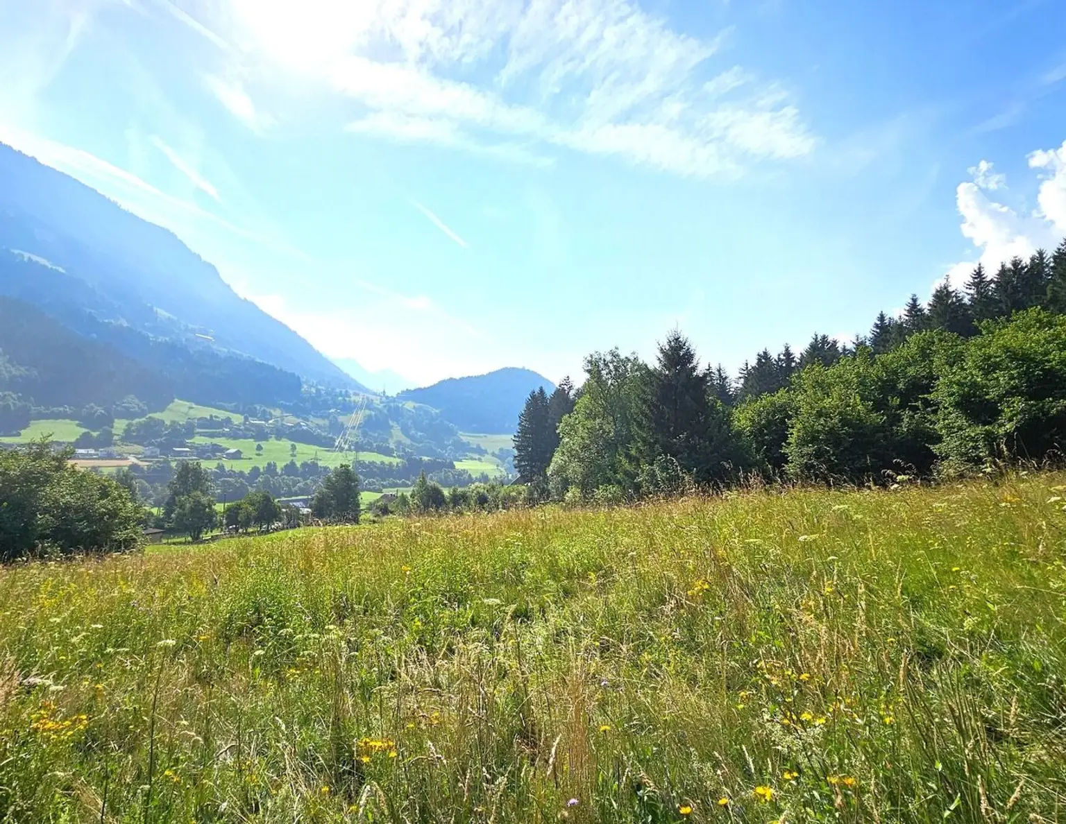 1 Grundstück - Ihr neues Zuhause in einer malerischen Lage in Penk. Ideal auch für Tierhaltung/Landwirtschaft.