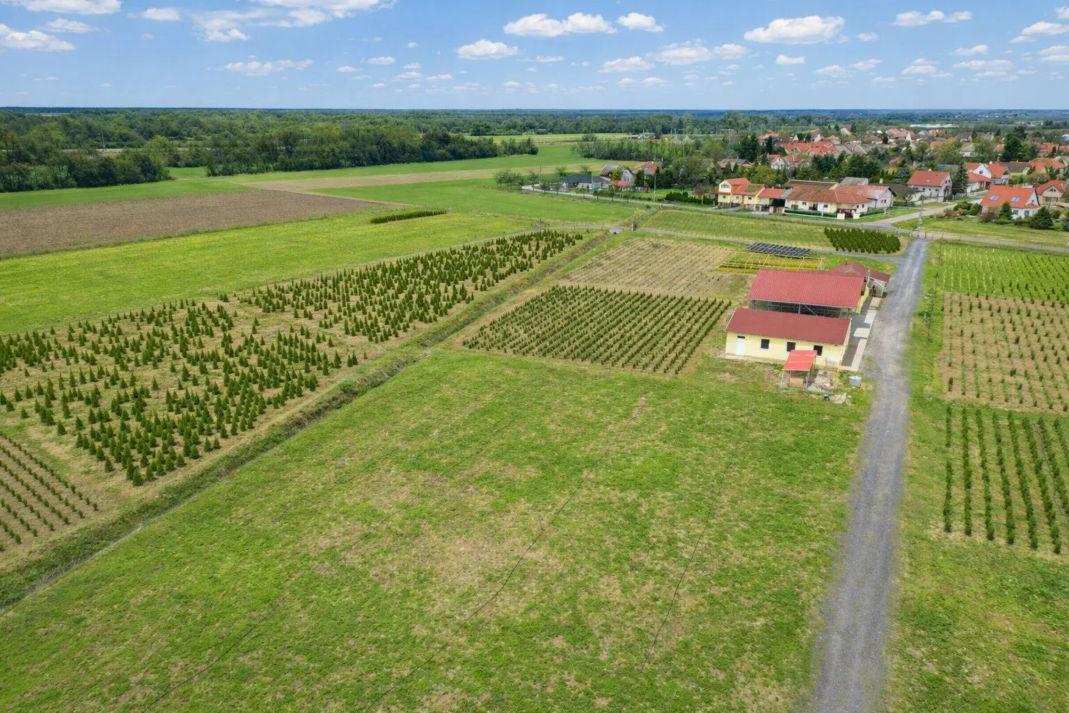 Luftaufnahme des gesamten Areals