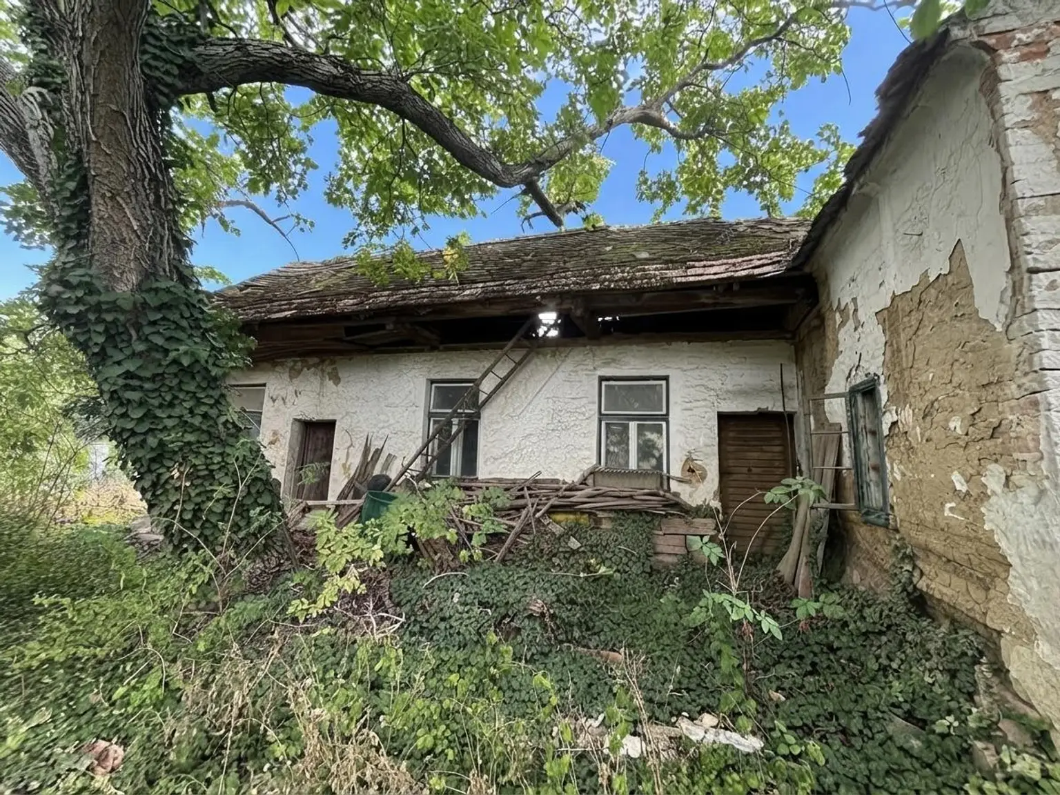 Haus (2)