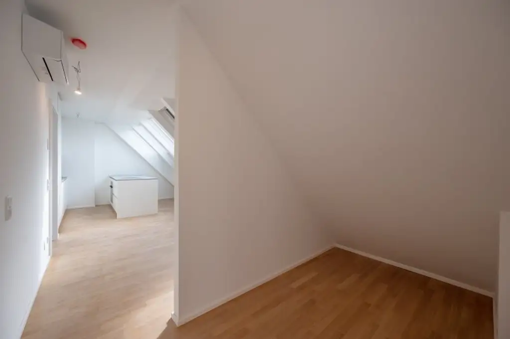 ++MOLLARD 50++ Exclusive 4-room-Penthouse with Stunning Views over Vienna (1/31)