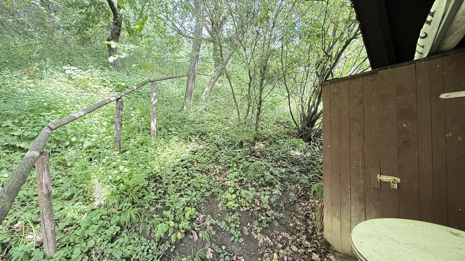 idylischer Wald hinter dem Kellerstöckl