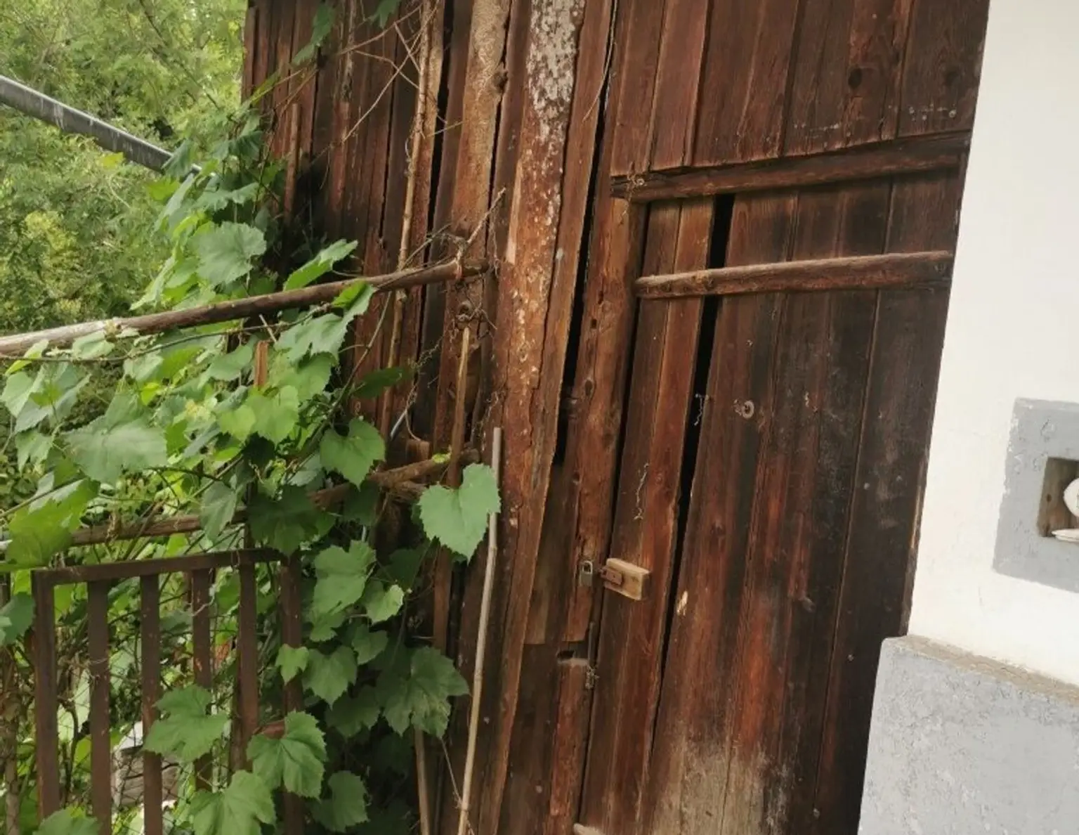 Idyllisches Grundstück mit Altbestand in ruhiger Sackgassenlage in begehrter Lage am Gedersberg