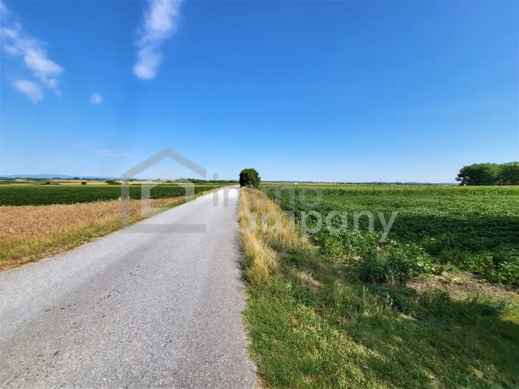 Nicht zu groß, nicht zu klein - Miethaus mit 3 Zimmer und 75m² Wohnfläche in Mannersdorf/Leithagebirge