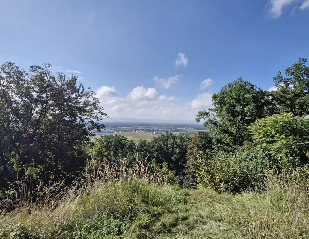 Wohnen mit Weitblick - Sechterberg 85, Feldkirchen an der Donau