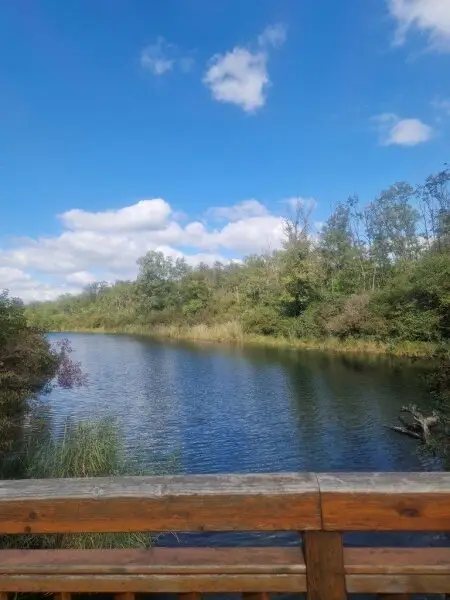 Oase Lobau - Naturnah Wohnen