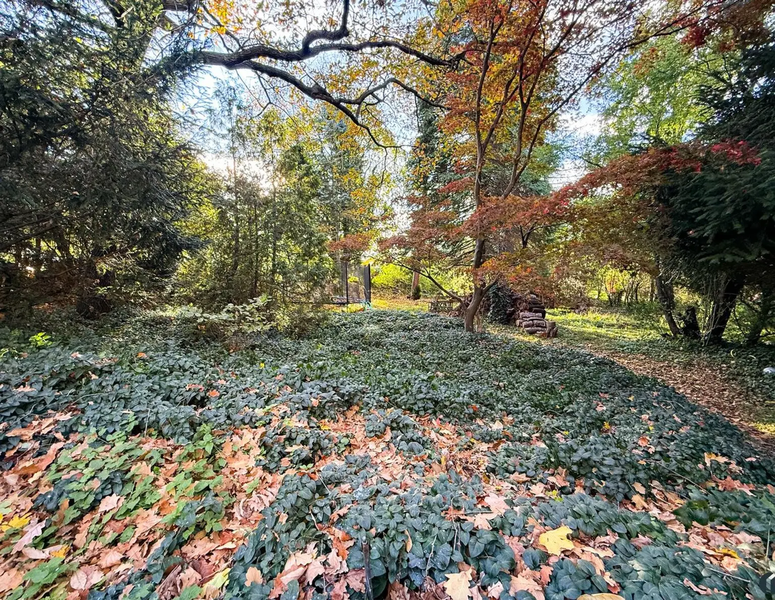 Attraktives Baugrundstück in Altenberg bei St. Andrä-Wördern