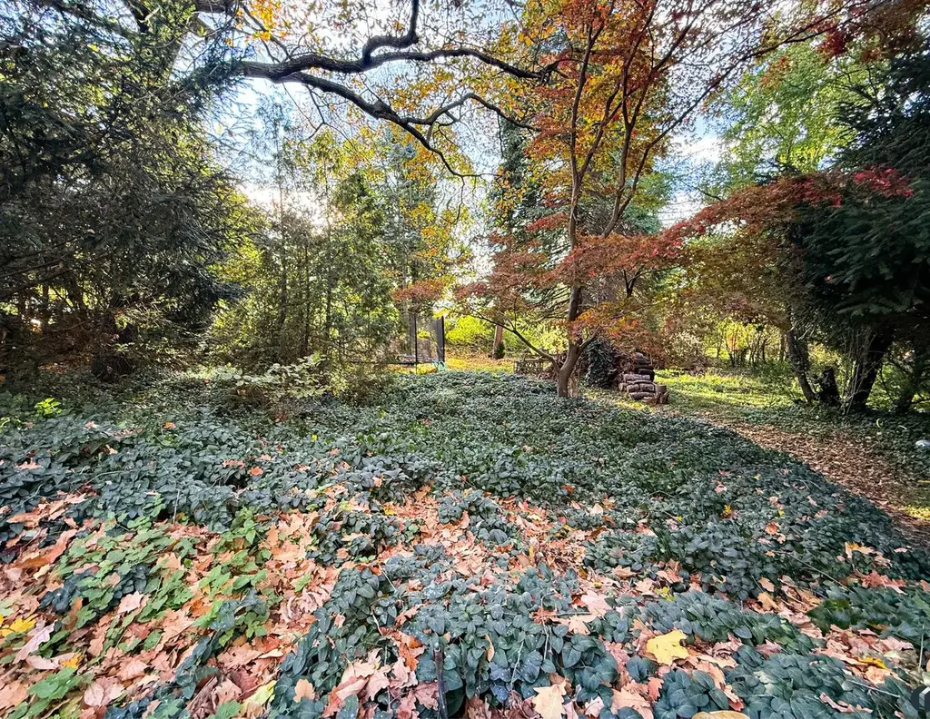 Attraktives Baugrundstück in Altenberg bei St. Andrä-Wördern