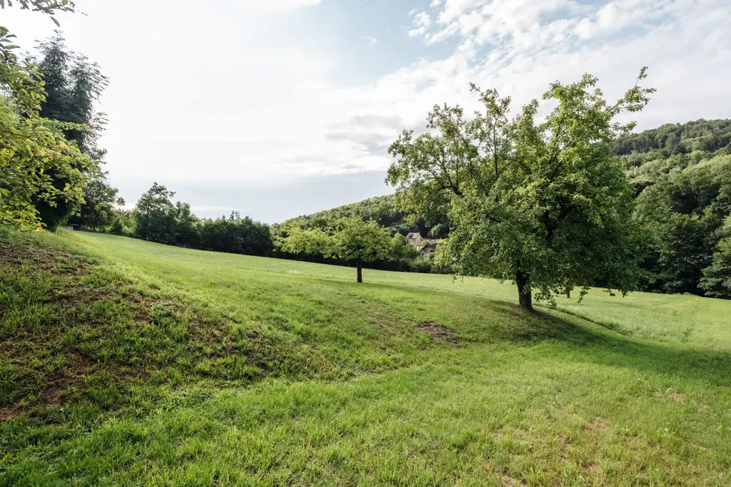 8054 Strassgang - Idyllische Liegenschaft zum Bauen, Pflanzen, Leben mit ca. 5000 m² und Altbestand in ruhiger Sackgassenlage