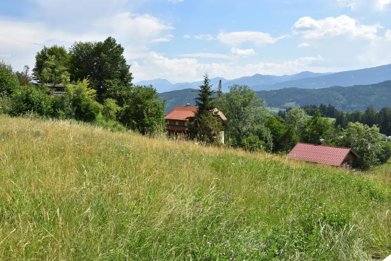 Hauptbild