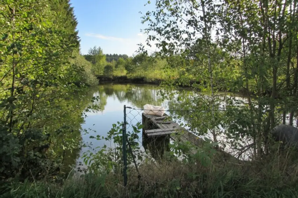 *****Fischteiche im nördlichen Waldviertel*****