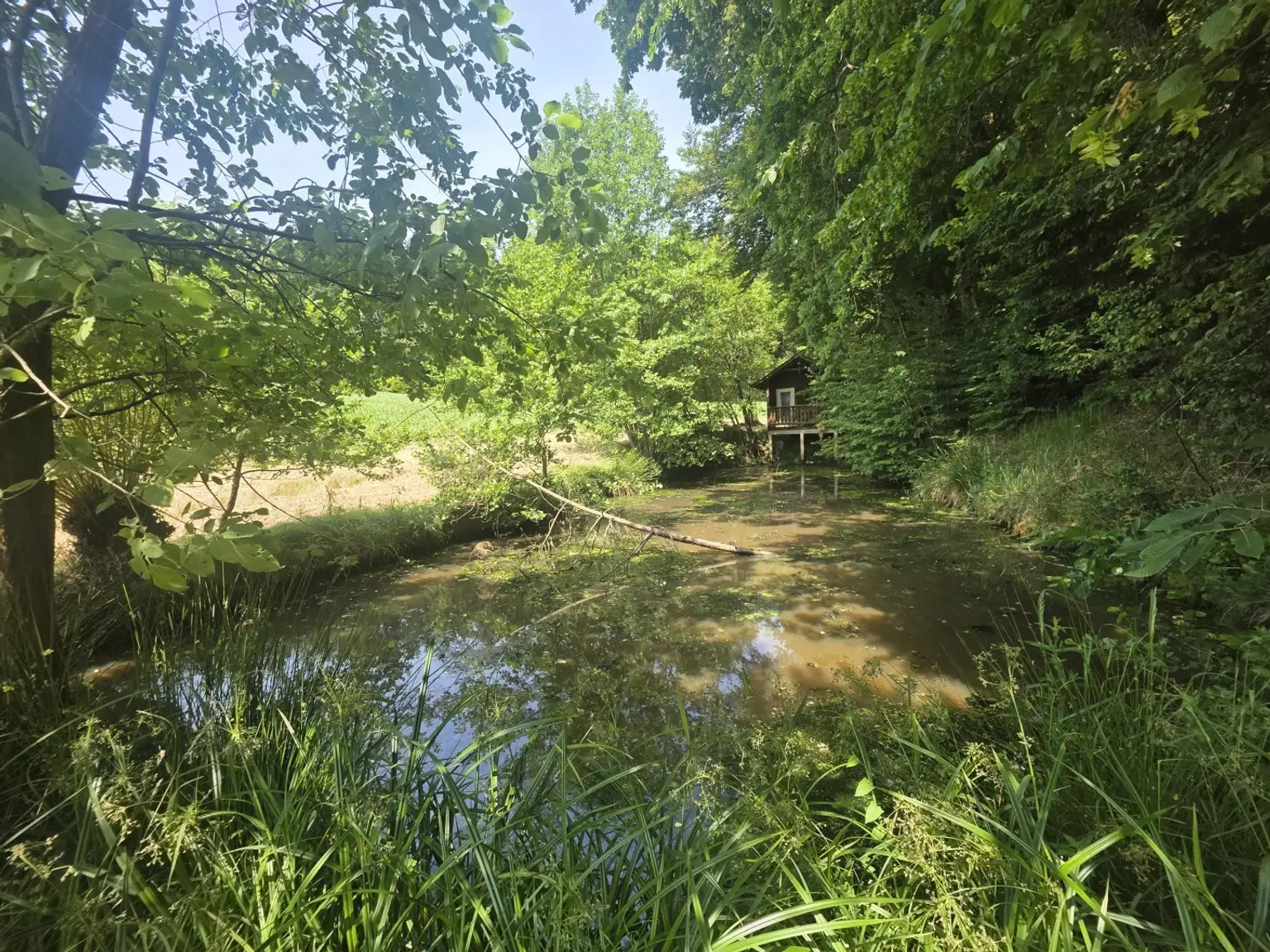 Bauernhaus (stark sanierungsbedürftig) mit viel Grund und kleinem Teich