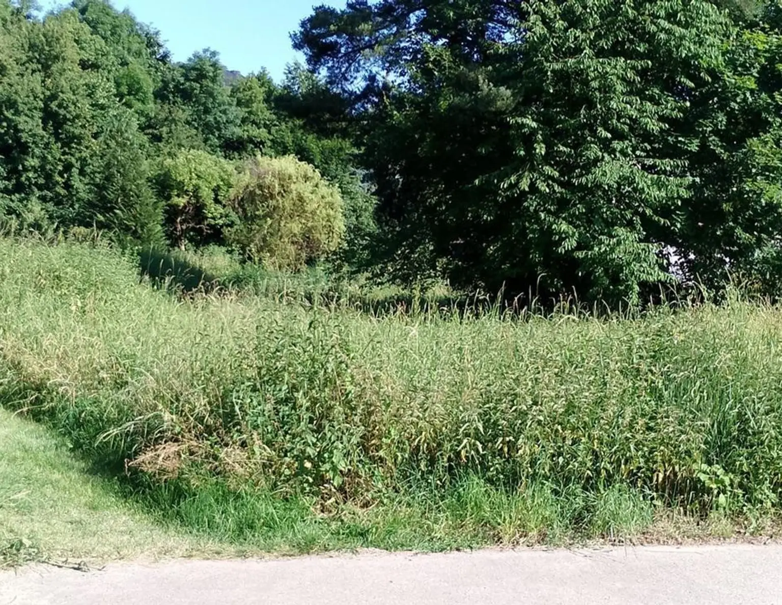 Ruhiger Baugrund in Heiligenkreuz