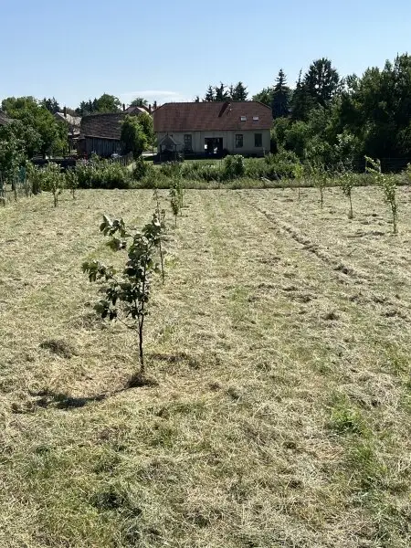 +++Traumhaus mit ländlicher Eleganz – ein geschmackvoll gestaltetes Einfamilienhaus im Herrenhausstil im Herzen von Lövő!+++