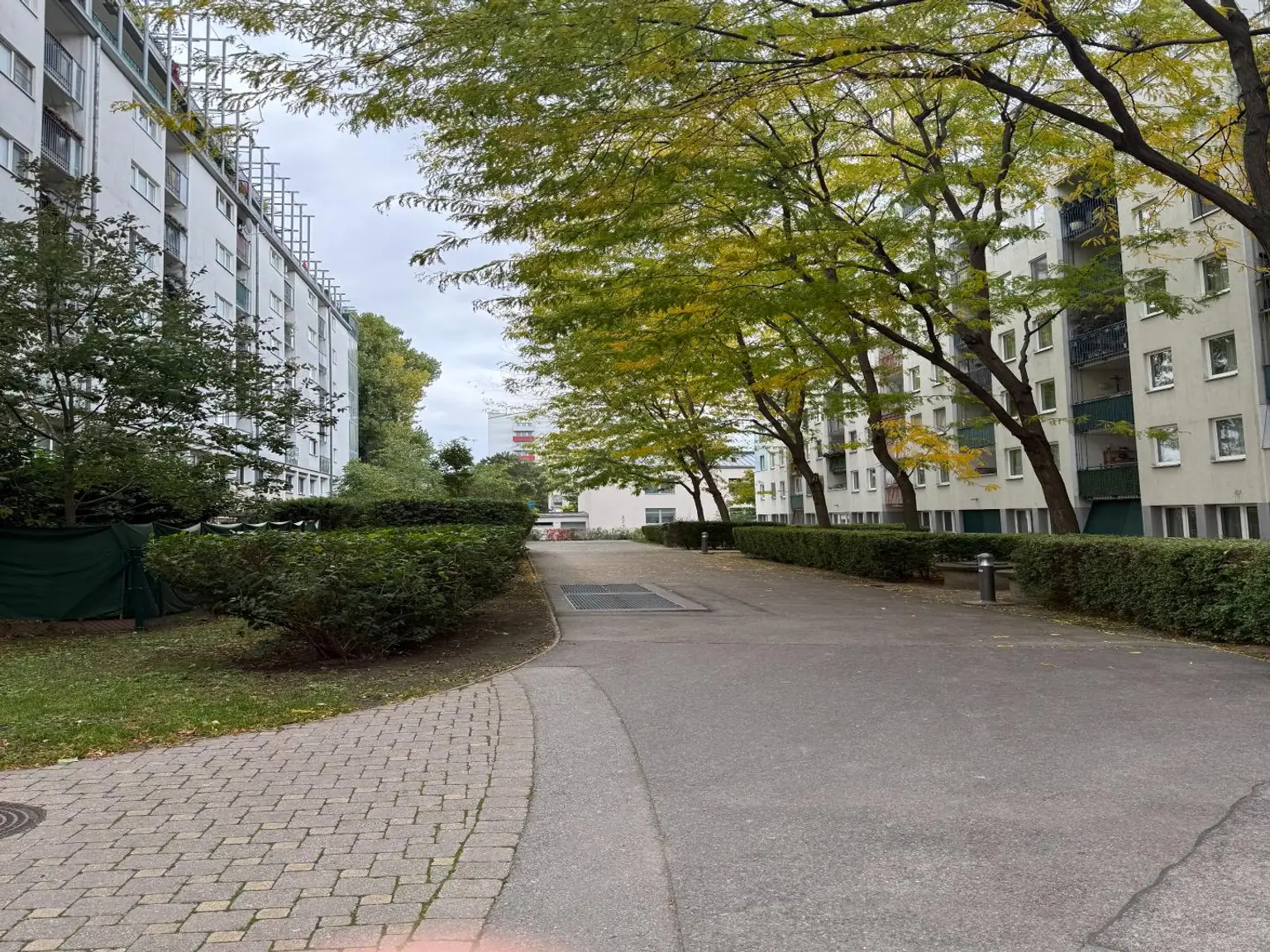 "Oase Über der Donau - Fernblick auf die Weinberge!"