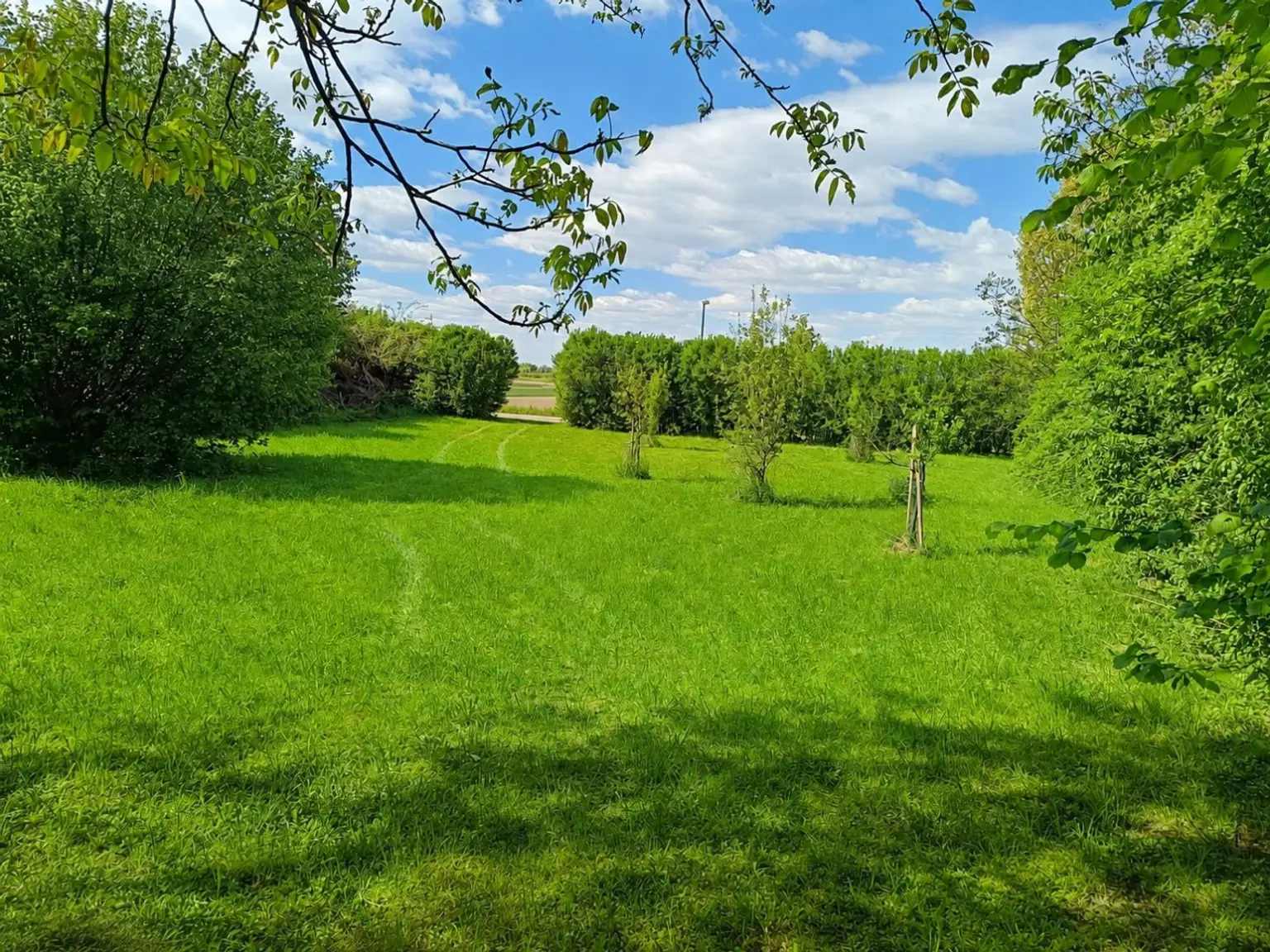 02 Grundstück