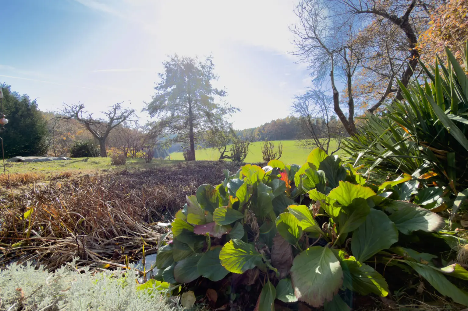 Licht, Leben & Landschaft – Ein Haus mit Herz in Thal bei Graz