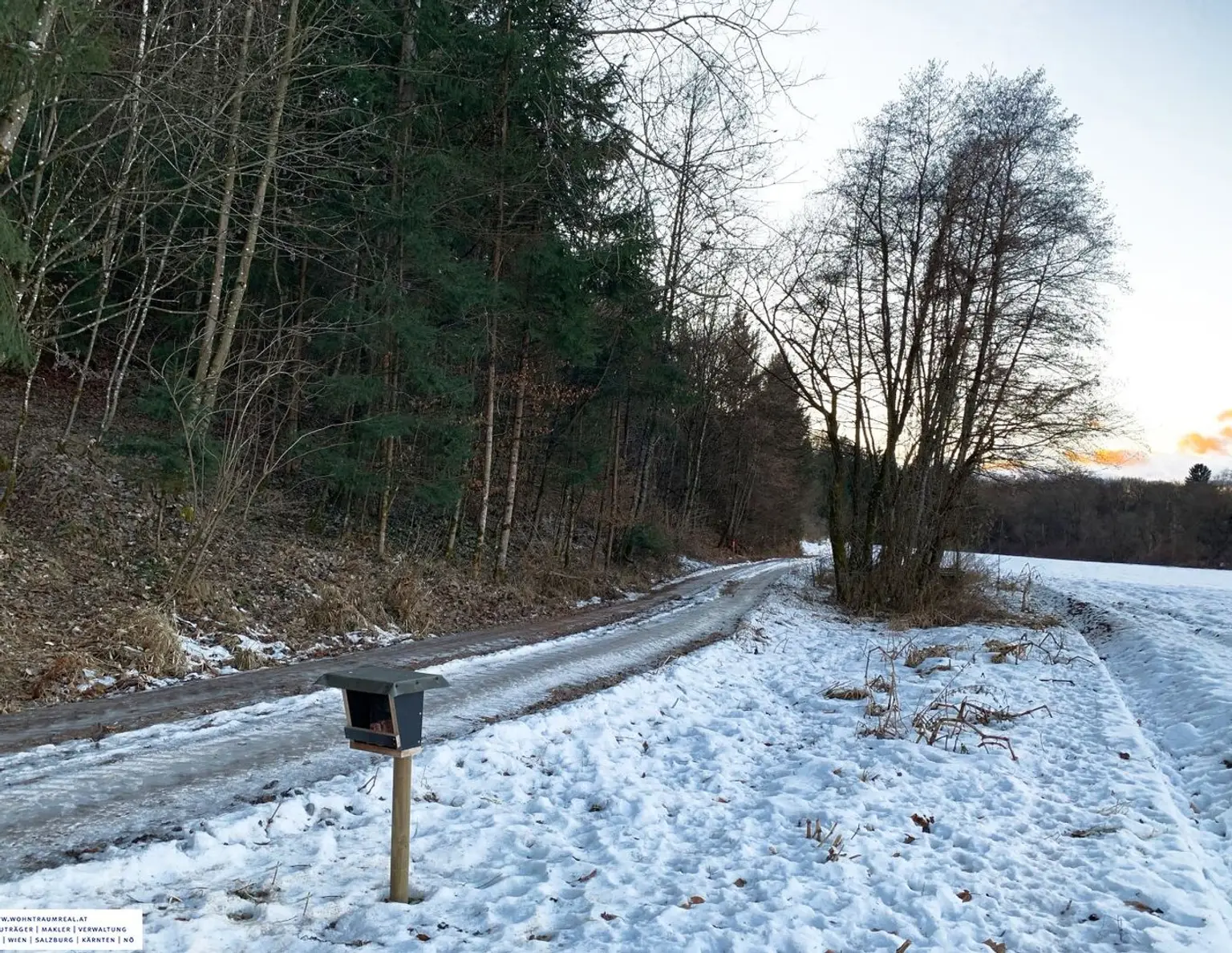 Waldgrundstück (4,26 ha) in Weitendorf zu verkaufen