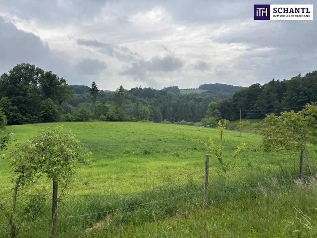 ++ SELTENE GELEGENHEIT ++ GENIAL für PFERDEHALTUNG ++ BAUERNHOF mit ca. 7 HA Landwirtschaftlicher Fläche und Wald ++ NEBENGEBÄUDE++ NÄHE GRAZ++