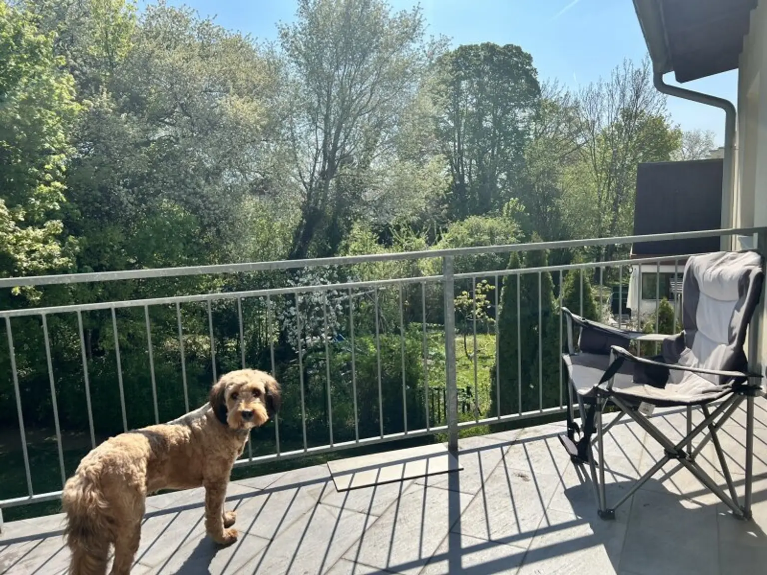 Moderne, zentrumsnahe Familienvilla mit großem Garten in gefragter Grünruhelage (!)