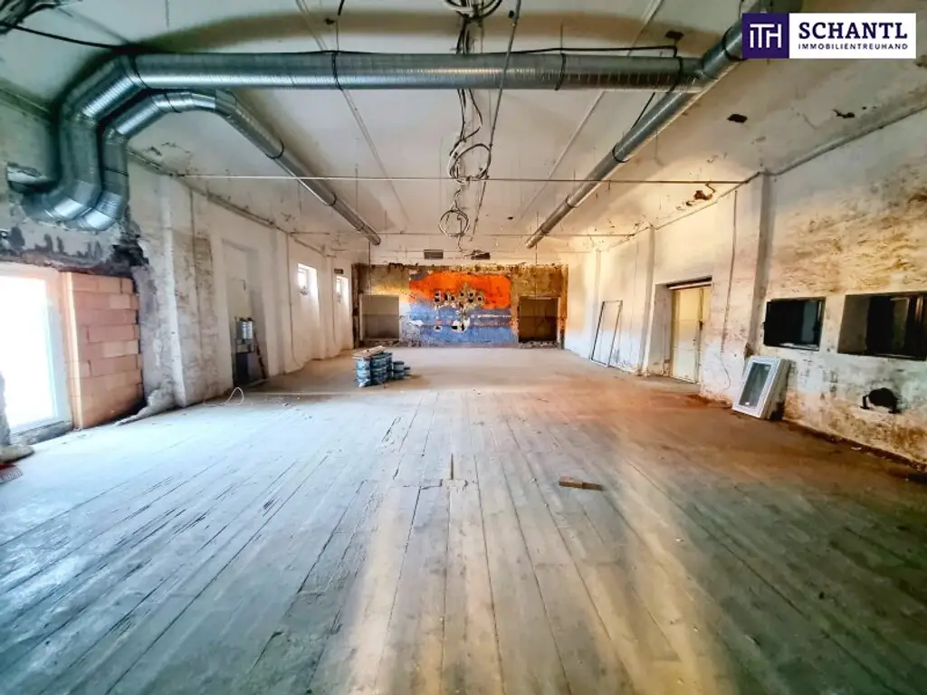 TOP Investment - Zirka 5,9% Rendite aktuell! Zirka 3000m² bei Abbruch-Neubau möglich! Schnappen Sie sich dieses Sorglos-Paket mit großem Potential!