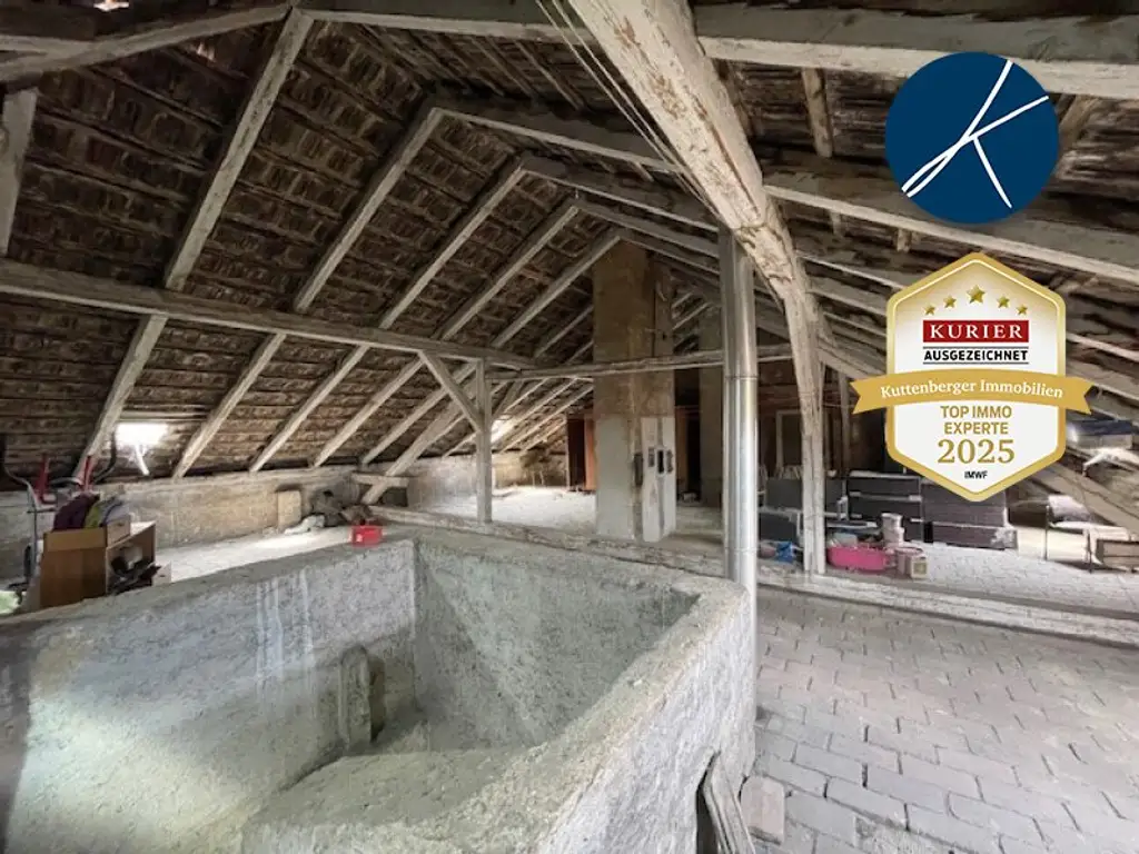 Attraktives Zinshaus in Mödling: Renditeobjekt mit 657,42 m² für 795.000 €!