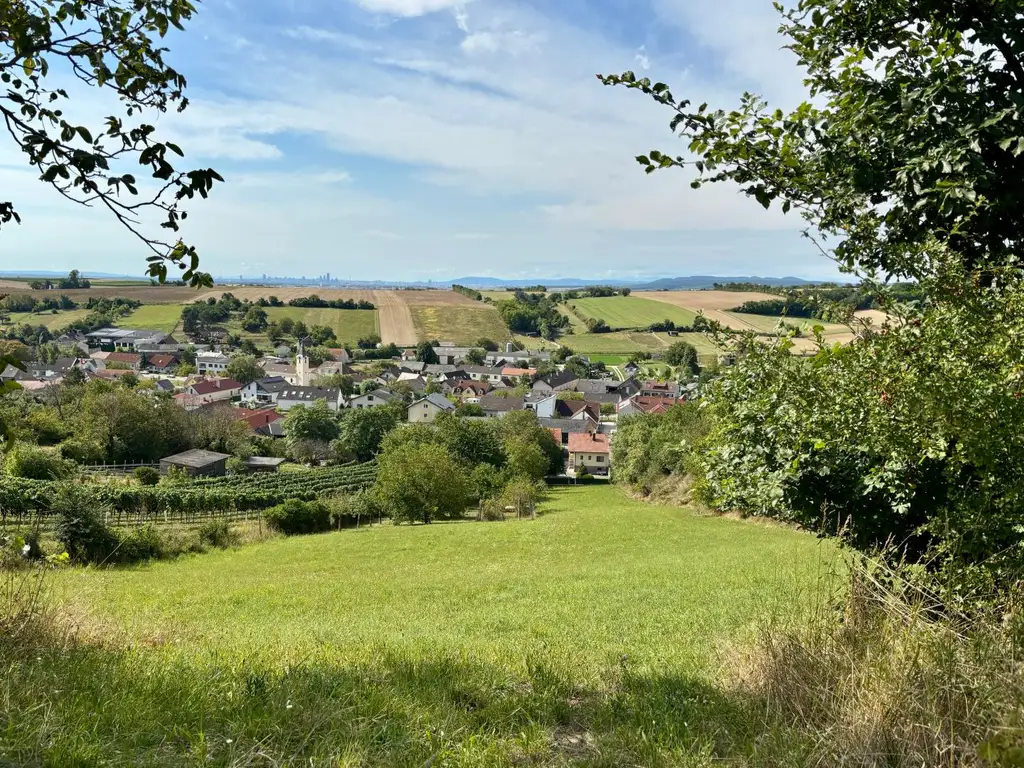 Einfamilienhaus mit großem Grund