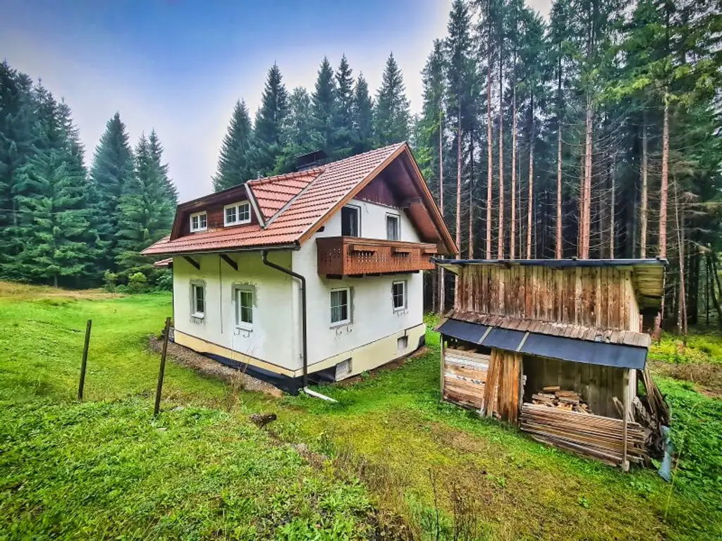 Teilsaniertes Wohnhaus am Waldesrand am Fuße der Nockberge