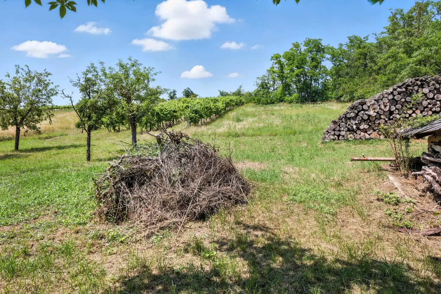 Traditioneller Weinkeller mit Presshaus und 2.421 m² Weingarten in Ebenthal – Ihr Rückzugsort im Weinviertel!