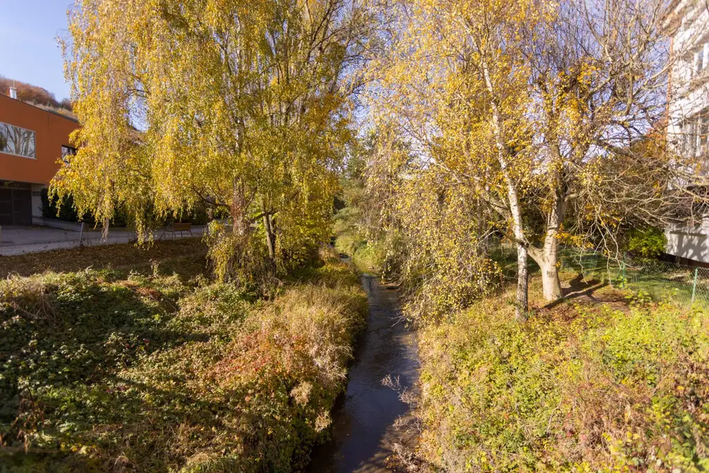 Helle 3-Zimmer-Wohnung mit Loggia in ruhiger Grünlage von Mauerbach