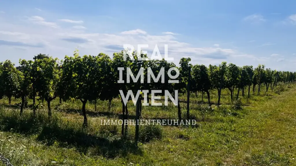 Luxus Villa am Rande der Stadt..
