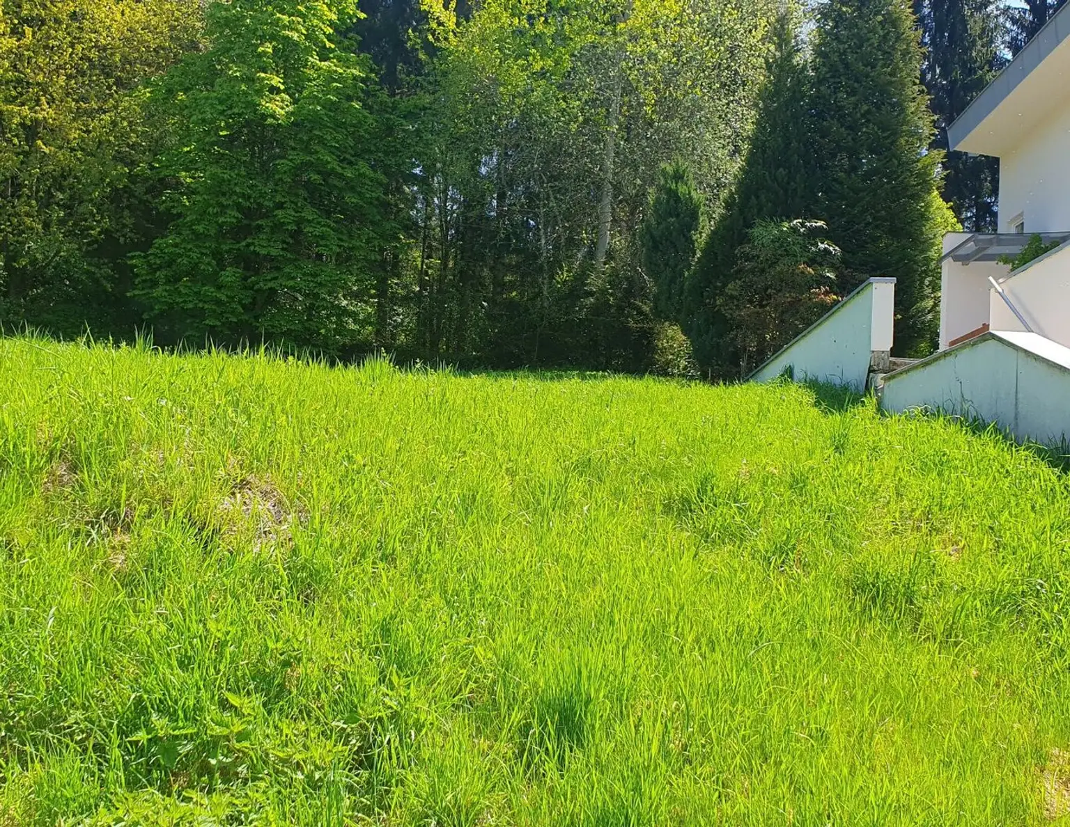 Baugrundstück am Waldrand von Weer