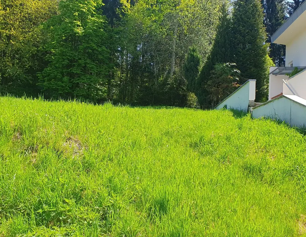 Baugrundstück am Waldrand von Weer