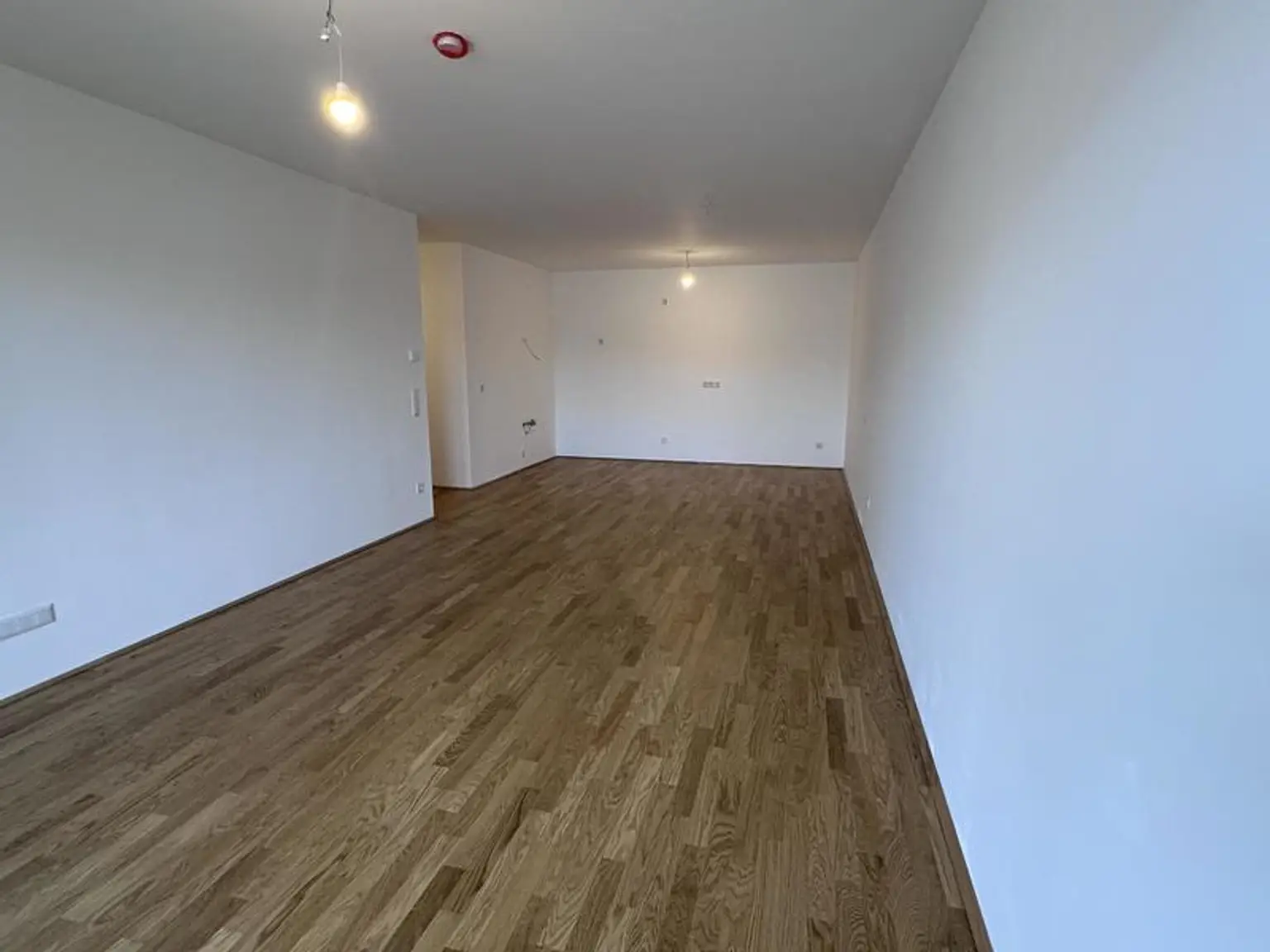 einen Katzensprung von Wien entfernt MIETE