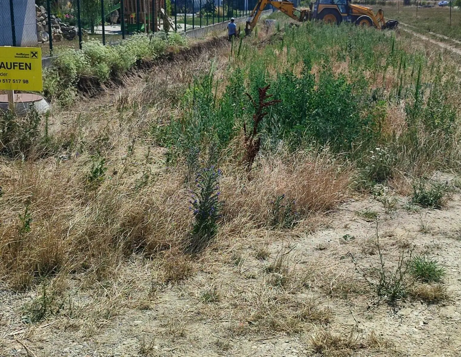 4 kleine Grundstücke am Stadtrand !