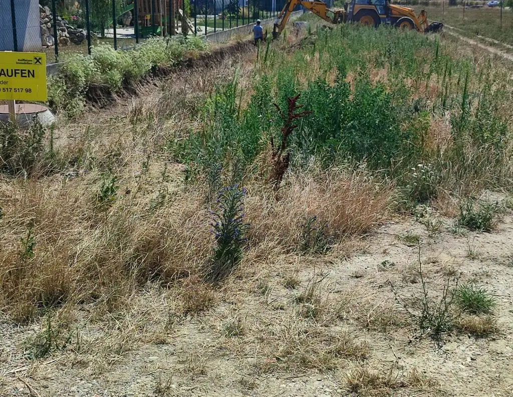 4 kleine Grundstücke am Stadtrand !