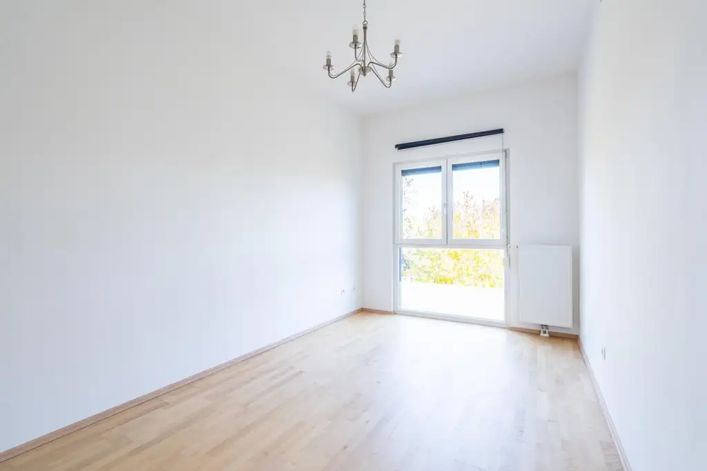 "Where the Alte Donau Becomes Home"