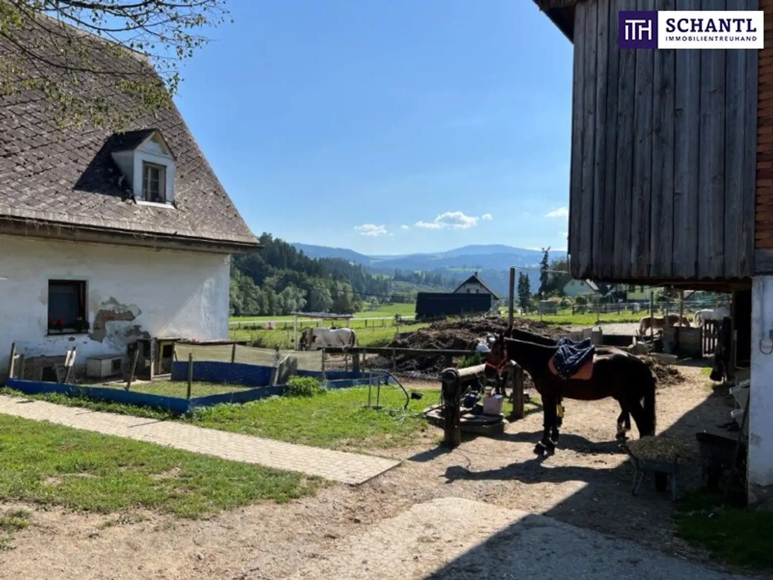 PFERDERANCH IN DER GRÜNEN STEIERMARK! Idyllischer Reiterhof in der Steiermark – Natur, Ruhe & Freiheit genießen! GLEICH ANFRAGEN UND BESICHTIGUNGSTERMIN VEREINBAREN!