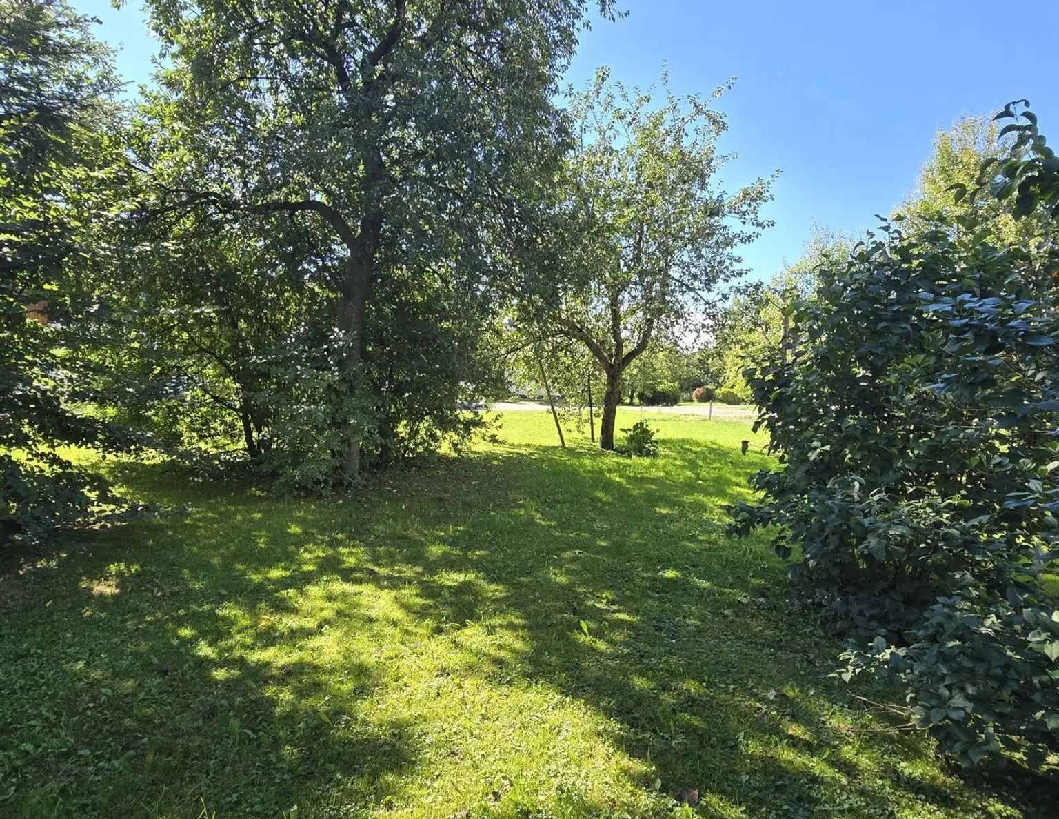 Attraktives Baugrundstück für Ihr Eigenheim oder als Geldparkplatz !