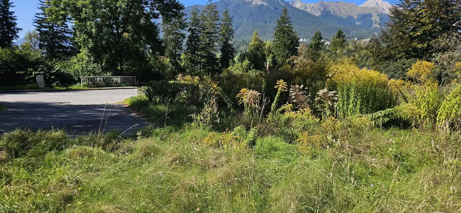 Imst: Kompaktes Baugrundstück in gut erreichbarer Lage!
