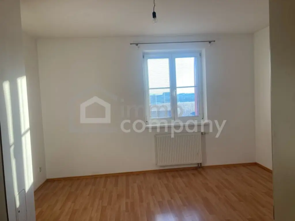 Wunderschöne Wohnung mit Donaublick