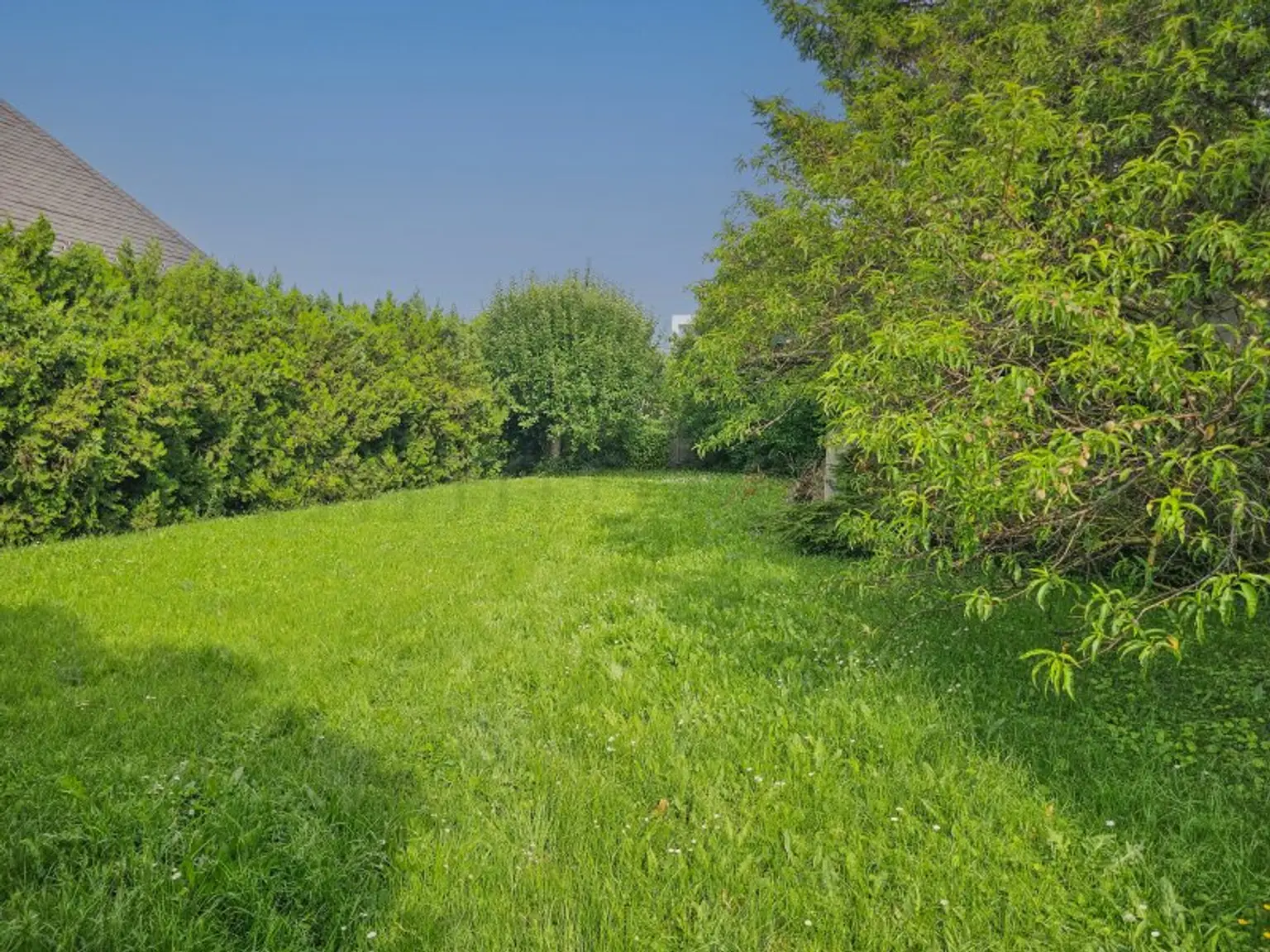 Gänserndorf Stadt: Wunderschönes Baugrundstück am westlichen Stadtrand