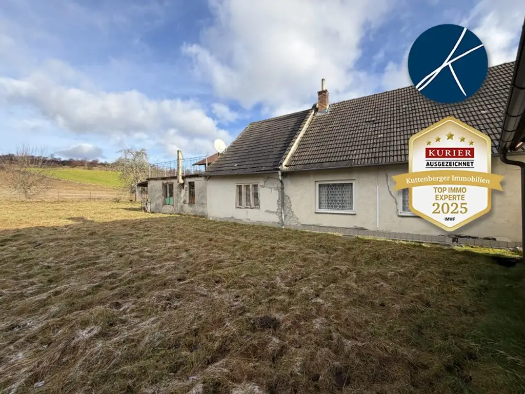 Sanierungsbedürftiges Landhaus mit großer GARTENFLÄCHE