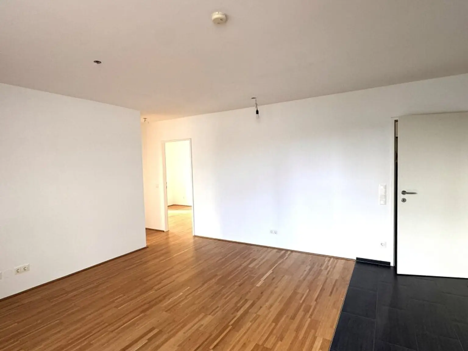 Wohnzimmer mit Einbauküche